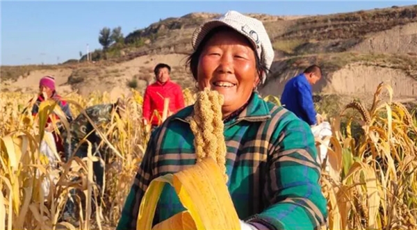 物农网捉牢“订单农业+直播“，打造健康生活方式